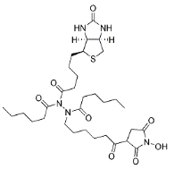 1322625-23-9             N-Biotinylcaproylaminocaproylaminocaproyl N-Hydroxysuccinimide
