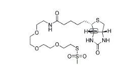 1-Biotinylamino-3,6,9-trioxaundecane-11-yl-methanethiosulfonate