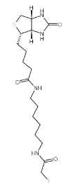93285-75-7       N-Biotinyl-N'-(iodoacetyl)-1,6-hexanediamine      N-生物素-N'-(碘乙酰基)-1,6-己二胺