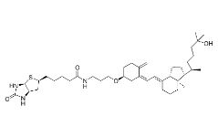 193278-59-0    25-Hydroxy vitamin D3 3,3'-biotinylaminopropyl ether         25-羟基维生素 D3 3,3′-联锡基氨基丙基醚