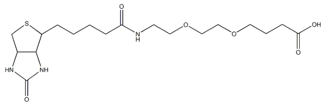 Biotin-PEG-COOH