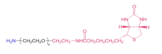 Biotin PEG Amine