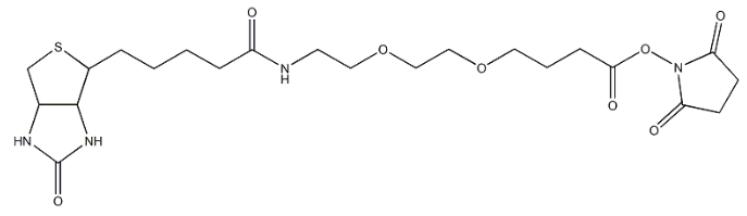 Biotin-PEG-NHS