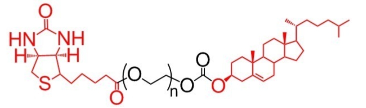 CLS-PEG-Biotin