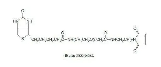 Mal-PEG-Biotin