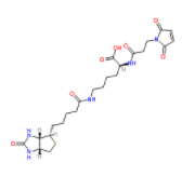 N-(3-馬來酰亞胺丙?；?生物胞素  