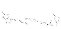 [CAS 596820-83-6]          9-Biotinlamino-4,7-Dioxanonanoic Acid N-Hydroxysuccinimidyl Ester 