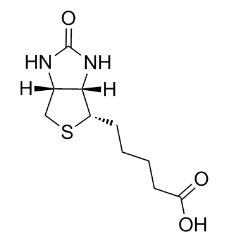 [CAS 58-85-5]          Biotin (Vitamin B7; Vitamin H; D-Biotin)      D-生物素	