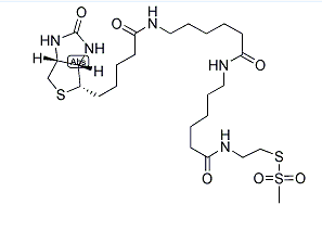 1038749-81-3；MTSEA-BIOTINCAPCAP