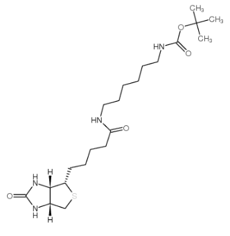 153162-70-0；N-BOC-6-生物素酰氨基己胺