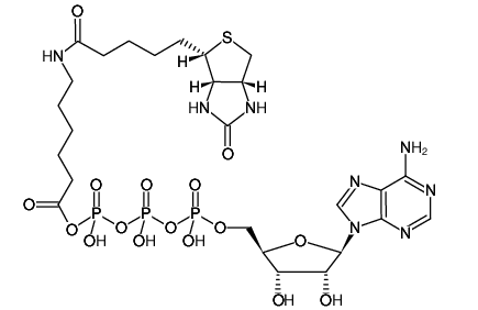 ATP-acetyl-hex-Biotin  