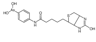 N-Biotinyl p-Aminophenyl Arsinic Acid；N-生物素基P-氨基苯基次胂酸