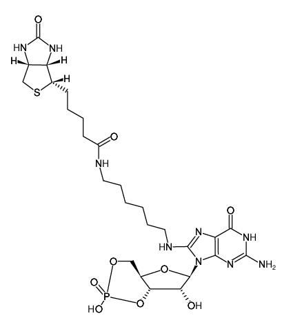 8-(6-Aminohexyl)-amino-cGMP-Biotin  