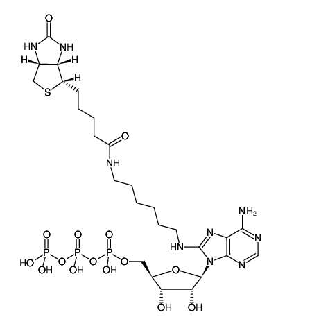8-(6-Aminohexyl)-amino-ATP-Biotin  