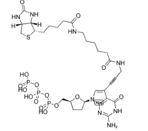 BIOTIN-11-DDGTP  