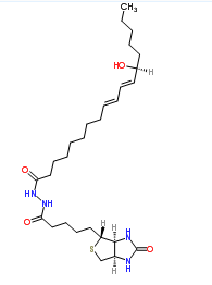 1176496-97-1；13(S)-HODE-biotin；齐岳生物