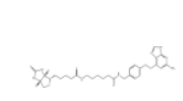 BIOTIN-SNAP  