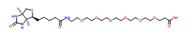 Biotin-PEG6-acid；1352814-10-8；生物素-六聚乙二醇-羧酸