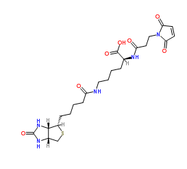 N-(3-马来酰亚胺丙酰基)生物胞素；102849-12-7；N-(3-MALEIMIDOPROPIONYL)BIOCYTIN