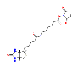 生物素化-epsilon-氨基己酸-N-羟基丁二酰亚胺活化酯；72040-63-2；Biotin-C5-NHS Ester