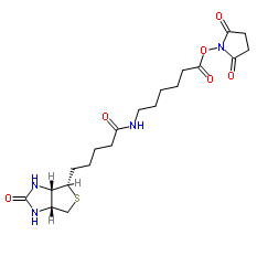 生物素化-epsilon-氨基己酸-N-羟基丁二酰亚胺活化酯；72040-63-2 ；Biotin-C5-NHS Ester