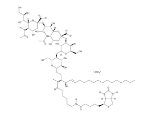 C6 Biotin Ganglioside GD3 (d18:1/6:0) (ammonium salt)  