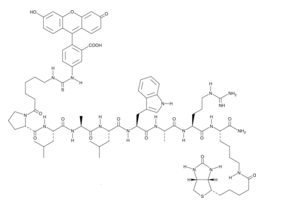FITC-C6-PLALWAR-Lys(Biotin)-NH2 (trifluoroacetate salt)  