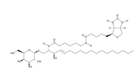 C6 Galactosylceramide-biotin  