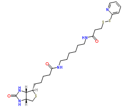 生物素-HPDP；129179-83-5；Biotin HPDP