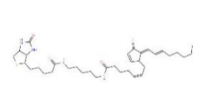15-deoxy-Δ12,14-Prostaglandin J2-biotinamide  