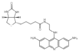 ACRIFLAVIN-BIOTIN CONJUGATE  