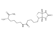 	biocytinamide  