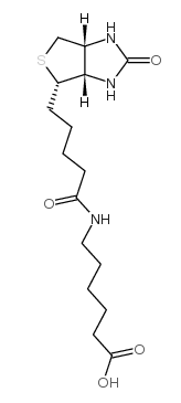 生物素修饰6-氨基己酸；N-Biotinylcaproic Acid