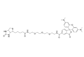 2279944-59-9       TAMRA-PEG3-biotin	      四甲基罗丹明-三聚乙二醇-生物素	