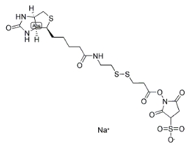 122266-55-1      NHS-SS-biotin	       2-[生物素氨基]乙基-1,3-二硫基丙酸磺基琥珀酰亚胺酯