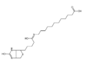 N-生物素十二烷基酸	  