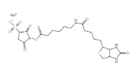 Sulfo-NHS-LC-Biotin Sodium 磺基-N-羟基琥珀酰亚胺-长链生物素钠盐   127062-22-0 / 191671-46-2