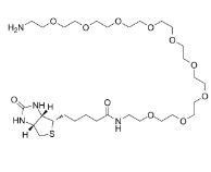 960132-48-3  Biotin-PEG9-amine  生物素-PEG9-胺