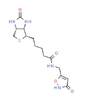 CAS:1454880-96-6  生物素衍生物