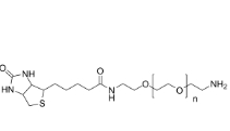 604786-74-5      Biotin-nPEG-amine	         生物素十一聚乙二醇氨基	