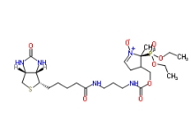 936224-52-1      DEPMPO-biotin solution		