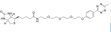 1835759-81-3；Biotin-PEG4-methyltetrazine； 聚天冬氨酸PEG生物素