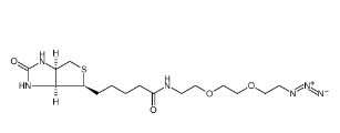 945633-30-7       Biotin-PEG3-N3	 生物素-三聚乙二醇-叠氮	