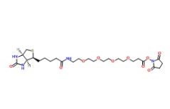 459426-22-3          Biotin-PEG4-NHS ester	生物素-四聚乙二醇-NHS 酯	