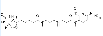 786609-83-4；N-(4-Azido-2-nitrophenyl)-N'-biotinylnorspemidine