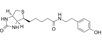 41994-02-9；Biotin-Tyramide；生物素基酪氨酰胺