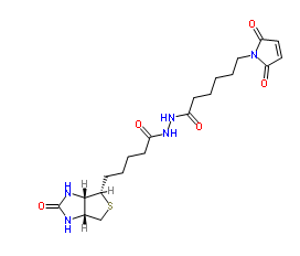 生物素-馬來酰亞胺；116919-18-7；BIOTIN-MALEIMIDE