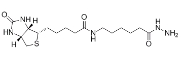 109276-34-8  Biotin LC hydrazide(Biotinamidocaproyl hydrazide;BACH;Biotin Aminocaproyl Hydrazide)