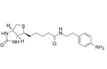 769933-15-5         Biotin-aniline，98%，25mg	          生物素-苯胺	