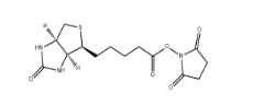 35013-72-0|生物素琥珀酰亚胺酯|NHS-biotin